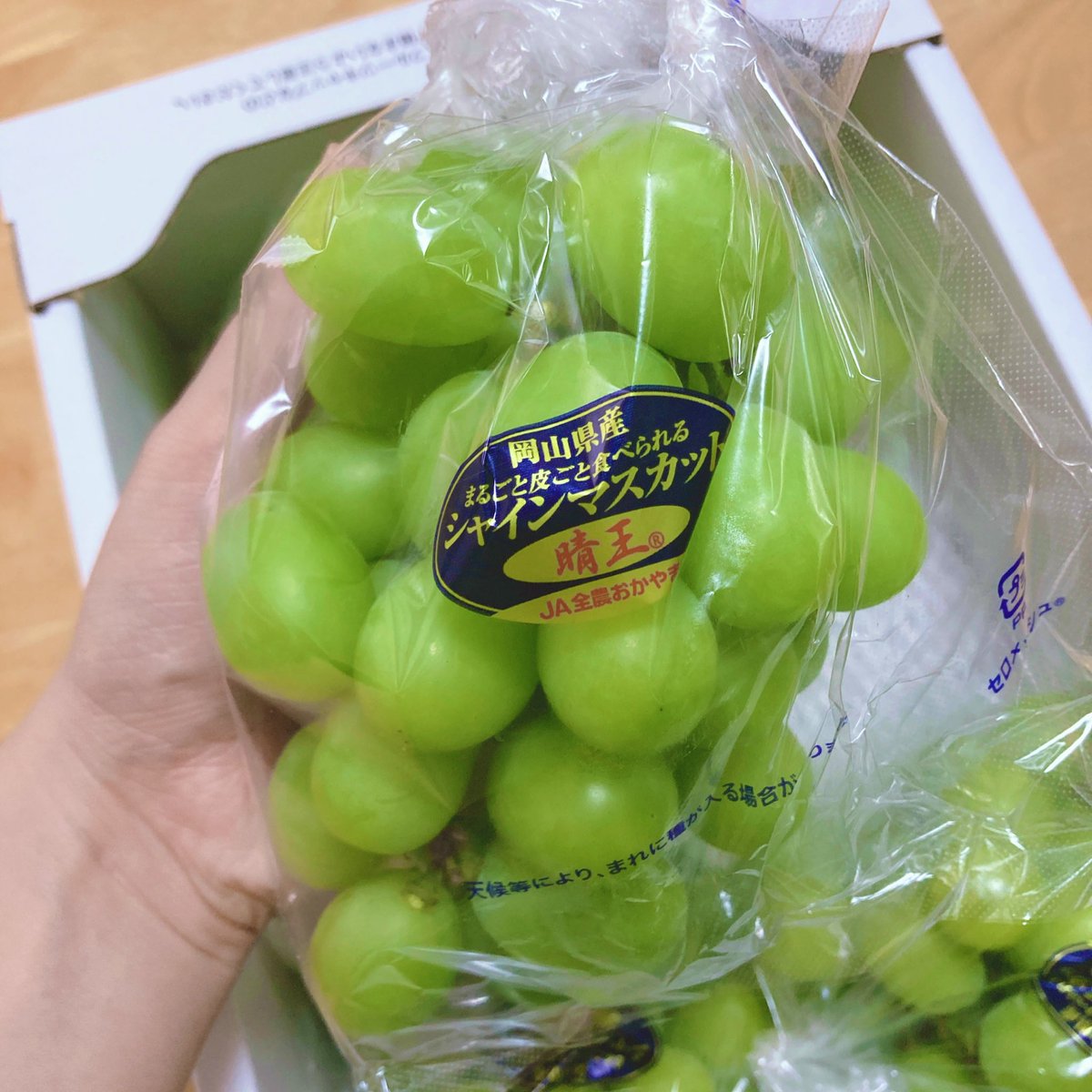 #PR 
これが訳あり？って思うほど立派な粒がゴロゴロでびっくり！岡山の高級シャインマスカット「晴王」が2kgも入ってて幸せすぎた🫶皮ごと食べられて、香りも甘さも贅沢そのものでした🥰
楽天➡︎ a.r10.to/hPHEL7