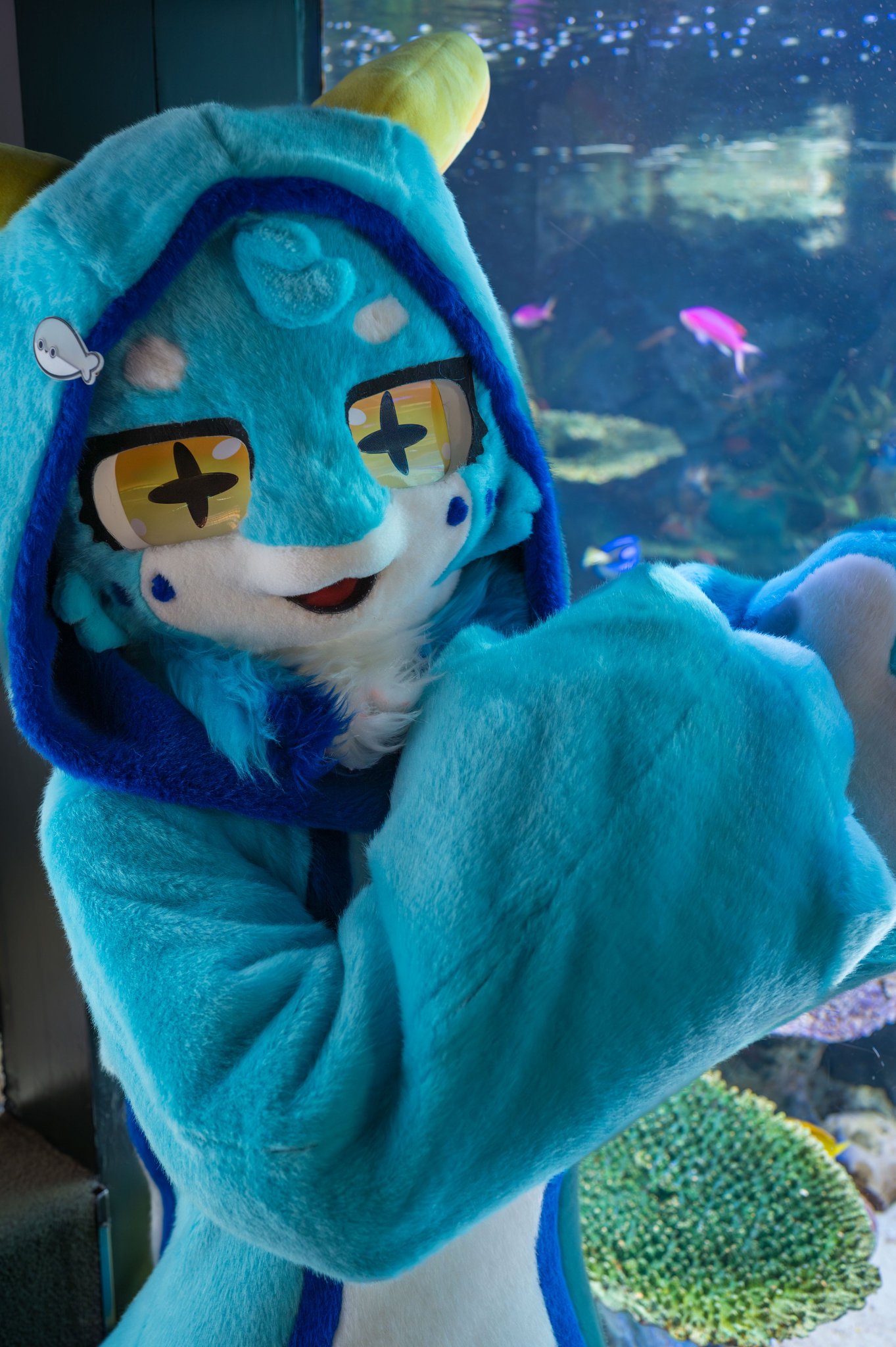 やすは🐾 on X: 