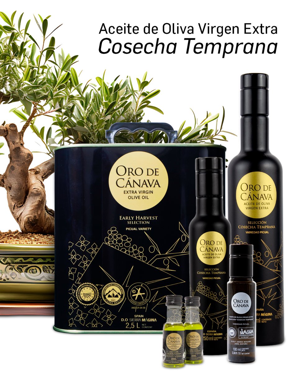 Estos son todos nuestros formatos de AOVE de cosecha temprana. Misma calidad TOP… pero adaptados a cada momento.
* Botellas elegantes para tu mesa.
* Envases prácticos para cocinar a diario.
* Formatos ideales para regalar o llevar contigo.

Disponible en aceitedeoro.es