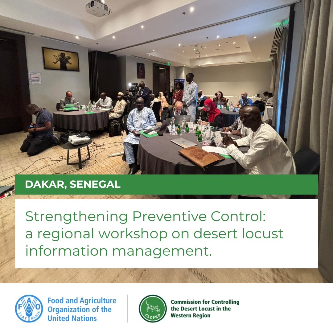 🛰️ Drones, eLocust, GIS, RAMSES
From August 4 to 8, participants will be trained on the latest technologies for desert locust data collection and analysis.
🎯 Reliable information for swift action!

#DesertLocust #Innovation