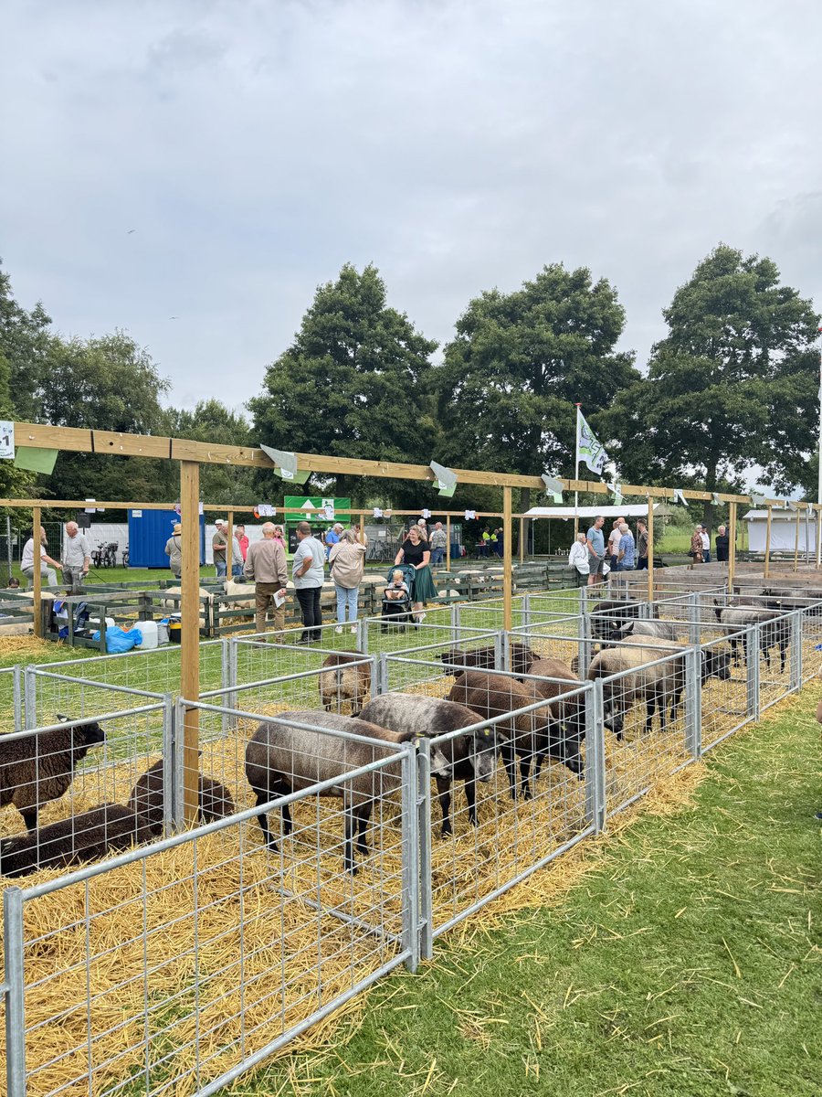Dennis Heijnen (@dennisheij) on Twitter photo Het <a href="/CDANH/">CDA Noord-Holland</a> was vandaag aanwezig bij de Landbouwshow in Opmeer, samen met veel CDA-ers uit West-Friesland. #koeienkeuring #paardenwedstrijden en nog veel meer! Het <a href="/CDANH/">CDA Noord-Holland</a> was vandaag aanwezig bij de Landbouwshow in Opmeer, samen met veel CDA-ers uit West-Friesland. #koeienkeuring #paardenwedstrijden en nog veel meer!