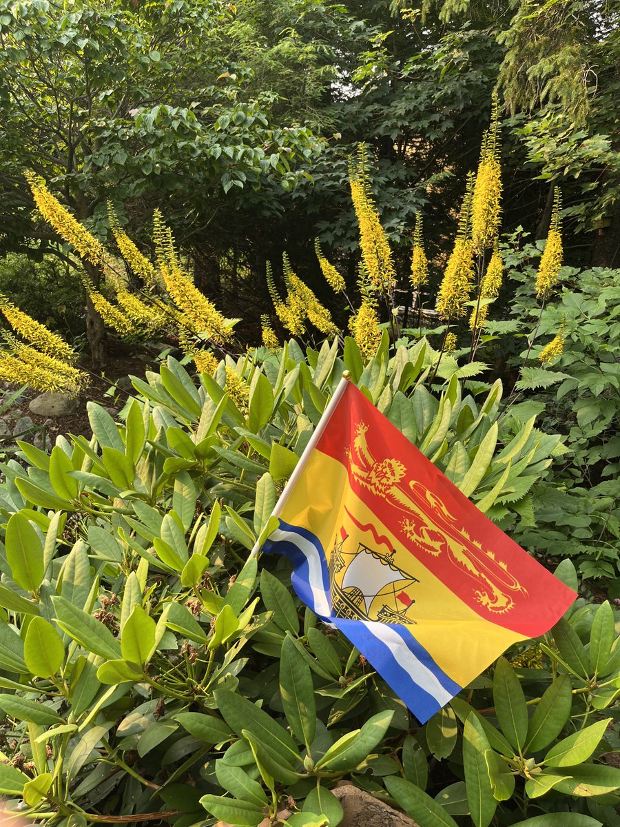 Happy New Brunswick Day. Lots to celebrate and lots to enjoy in our beautiful province. #NewBrunswickDay #NBday