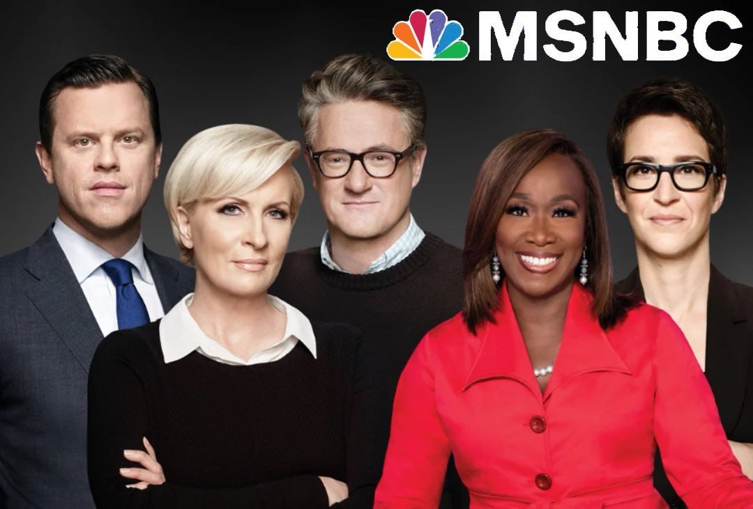 Do you support MSNBC getting sued into oblivion for interfering in the 2020 and 2024 Elections ?

YES or NO?