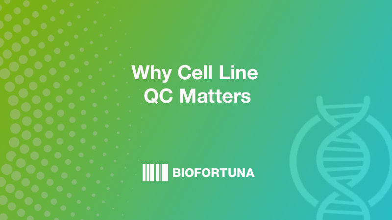BiofortunaLtd's tweet photo. In science reproducibility is key. But what if your cell lines aren't what they seem?
Cell line QC is a necessity. Biofortuna offers QC services to qualify your cell lines quickly & efficiently π https://t.co/khZg6dxjpL
#QualityControl #CellLines #LifeSciences https://t.co/AXo8t0LkVm
