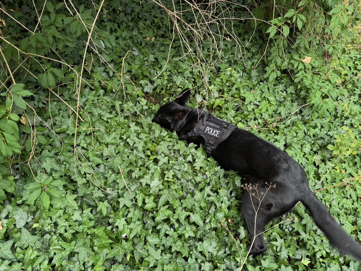 You said: 
Drug dealing in Myddelton Passage.

We did:
On 29th July we conducted a proactive operation to target moped/e-bike enabled drug dealing. 

A male on a moped was pursued by officers and found in possession of a quantity of crack cocaine and heroin.

#opbandera