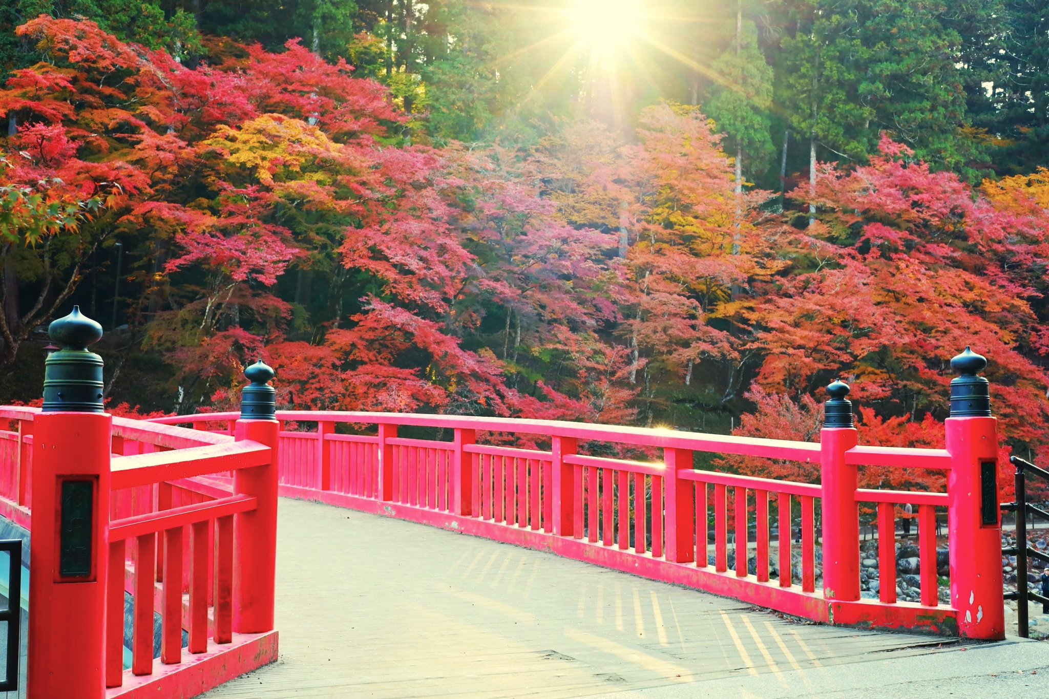 秋田県写真集 Amazon.co.jp: 【デジタル限定】仙北谷ハンナ写真集「秋田県
