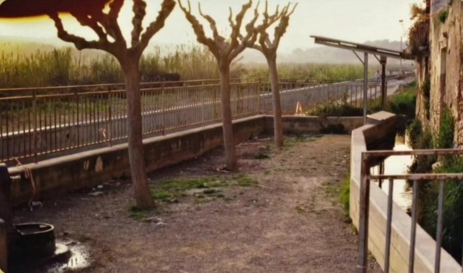 Síquia, rentadors, font ... Aigua!

[📸 Quim Grillo ▶️ via instagram d'<a href="/HortaiLlum/">Horta i Llum</a> instagram.com/p/DM7qkEyMTE2/…]