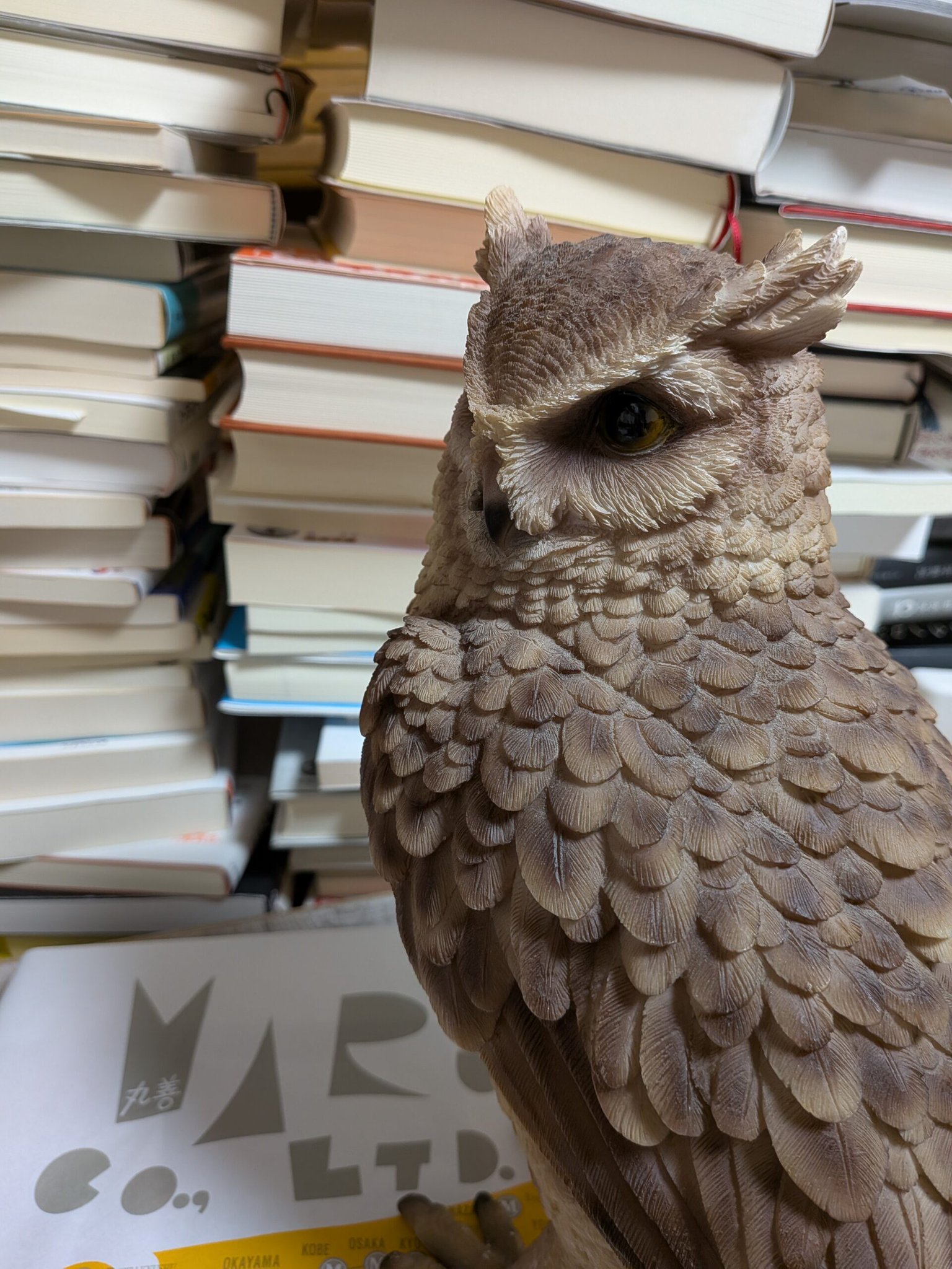 読書梟 on X: 