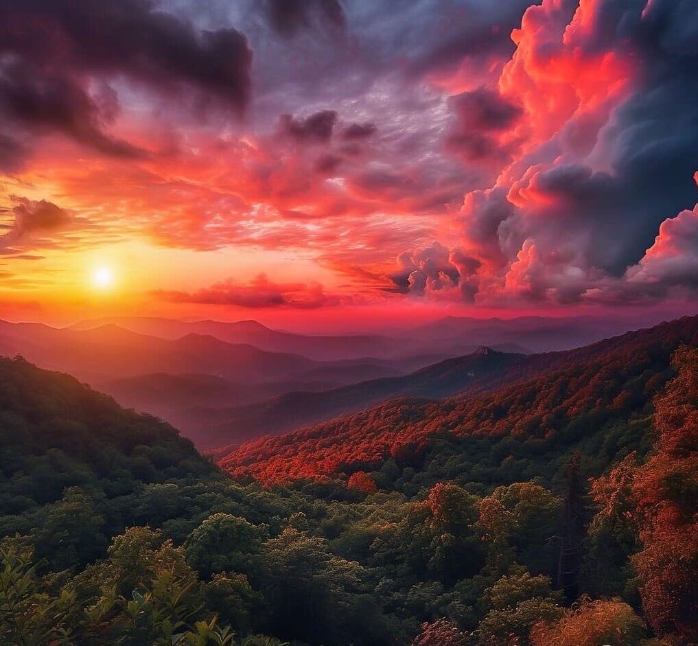 Good morning from
North Carolina!
