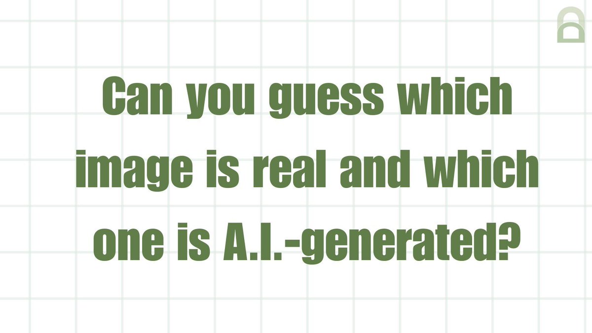 Deepfakes Analysis Unit tweet media