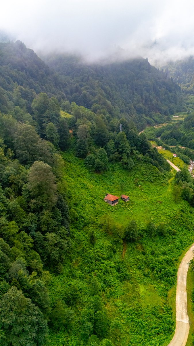 Ultra overthink mekanları