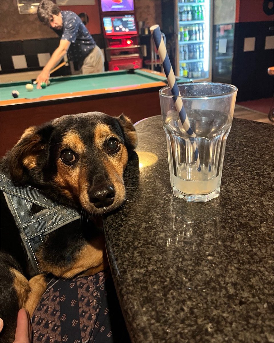 Cody McClain Brown tweet media