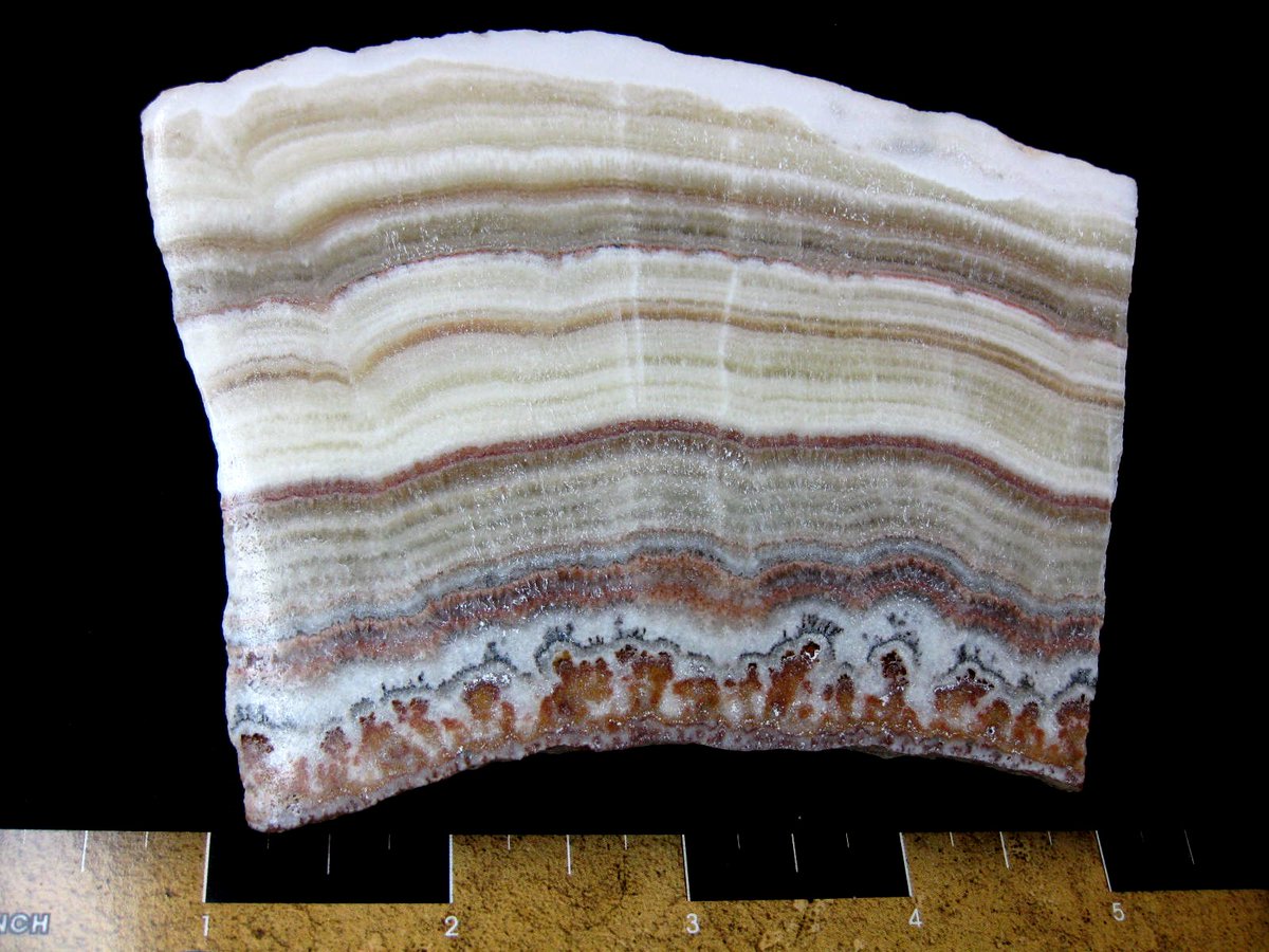 🌈✨ Rainbow Calcite #2 – Just $25!
Straight from Mexico, this vibrant mineral is a stunning display of natural color and energy. Add a pop of beauty to your collection today! 
🔗 prehistoricfossils.com/product/rainbo…
#RainbowCalcite #CalciteCrystal #MineralCollectors #CrystalHealing #Mexico
