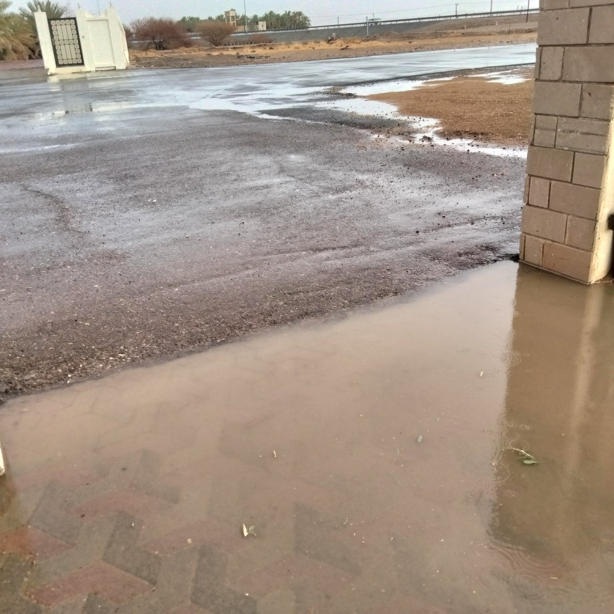 أمطرنا بفضل من الله.. جعله الله خير وبركة وعم نفعه البلاد والعباد.