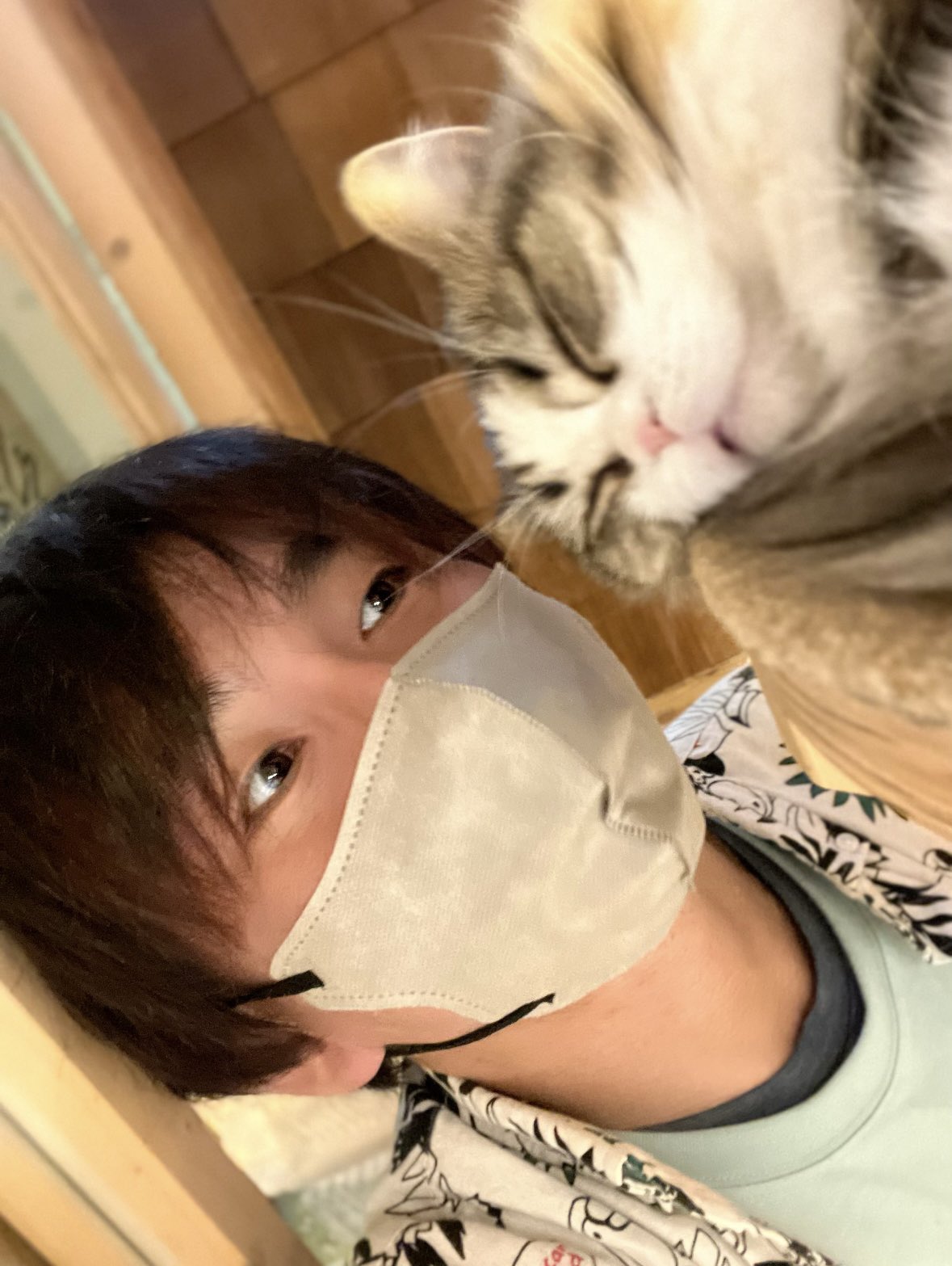 ʕ •ᴥ•ʔくまくまʕ•ᴥ• ʔ (@kmcn90SE) / X