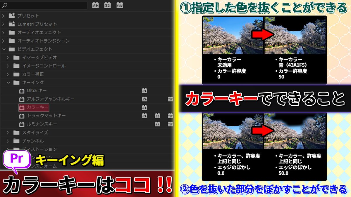 ryota_movies's tweet image. 【編集の基礎用語】

 動画編集を始めたばかりのあなたへ🔰

今回は、Premiere Proでよく出てくる『カラーキー』について解説！
使用例もご紹介します！

#動画編集 #PremierePro