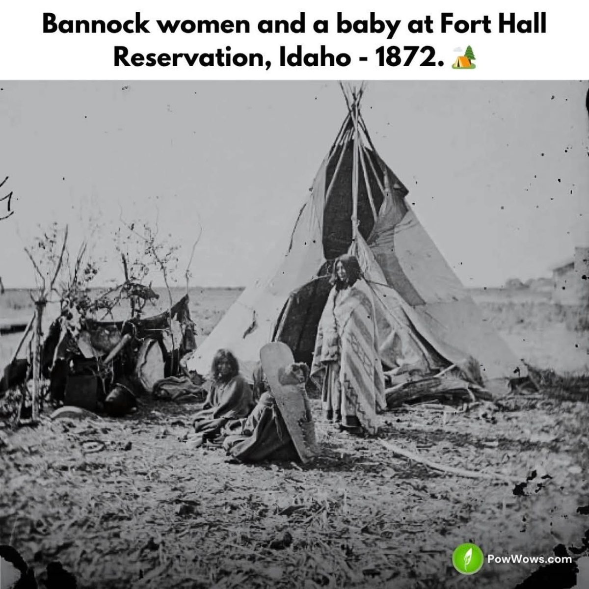 nativefamily_'s tweet image. Mothers, caretakers, life-givers—1872 at Fort Hall. The strength of Indigenous womanhood, captured forever.
.

.
.

#NativeWisdom #ElderTeachings #SacredMedicine #SevenGenerations #TalkingCircle #SpiritualJourney #AncestralWisdom #TraditionalKnowledge #HealingThePeople #