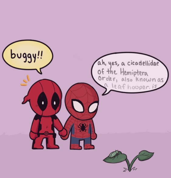 Cuties <3
#spideypool