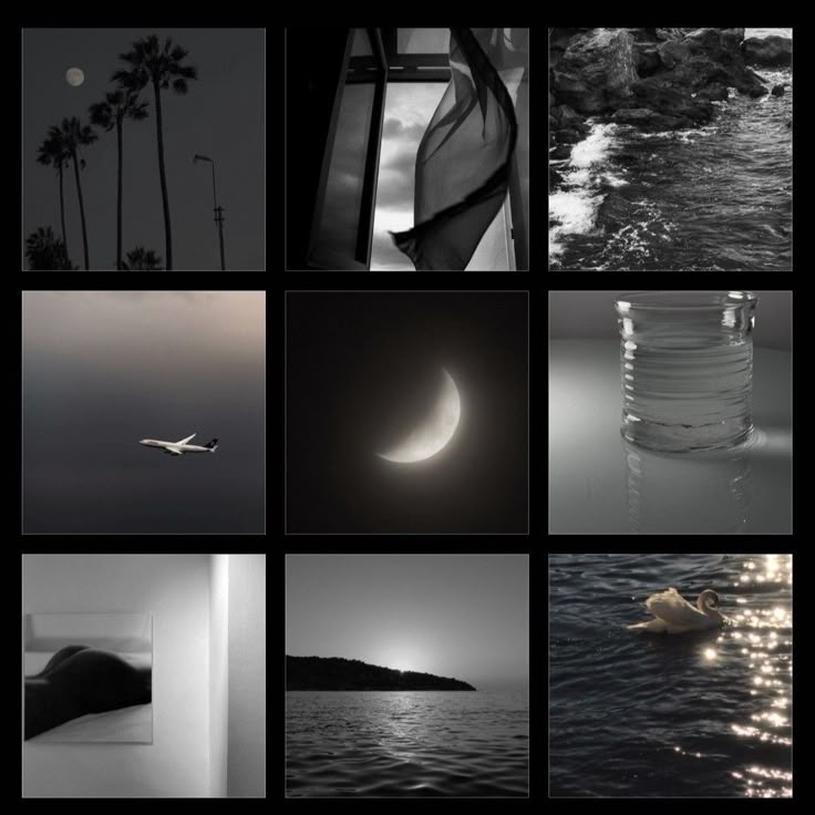 ً tweet media