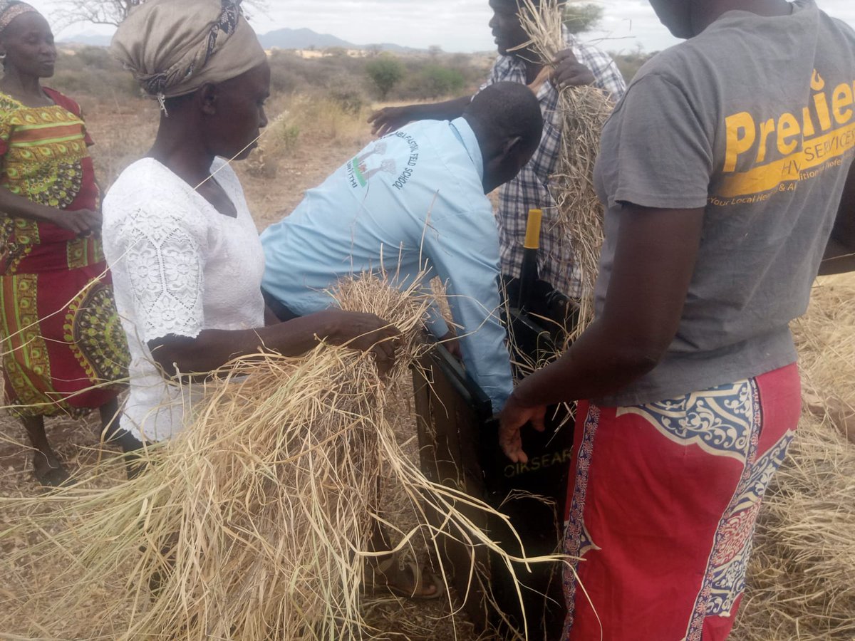 TwendeProjectKe's tweet photo. Kiamiramba Pastoral Field School members harvesting Hay. https://t.co/2btX57NH8l