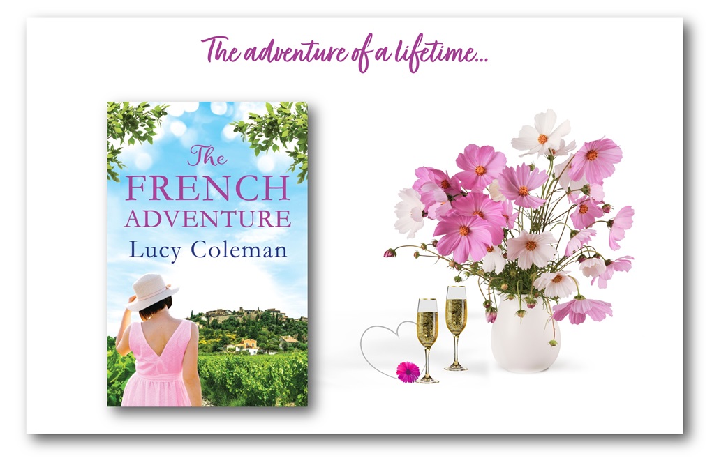 Longing for a blue sky and a little romance to lift your spirits? Take a trip to #France with a story of new beginnings. Feel the SUNSHINE and the love! #amreading  🌹 linnbhalton.co.uk/the-french-adv… 💫