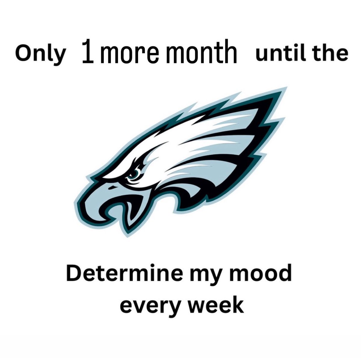 can’t wait, Go Birds