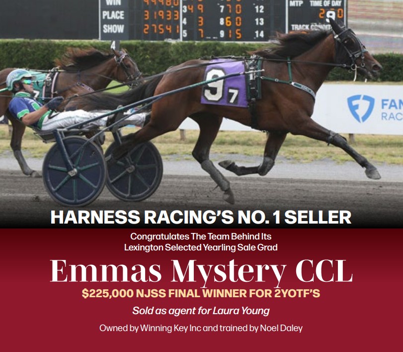 ✨Congratulations to Preferred Equine yearling sale graduate, EMMAS MYSTERY CCL on winning the NJSS FINAL at the Meadowlands!

EMMAS MYSTERY CCL was sold by Preferred Equine as agent from the 2024 Lexington Selected Yearling Sale.

🎉Congratulations to all connections!