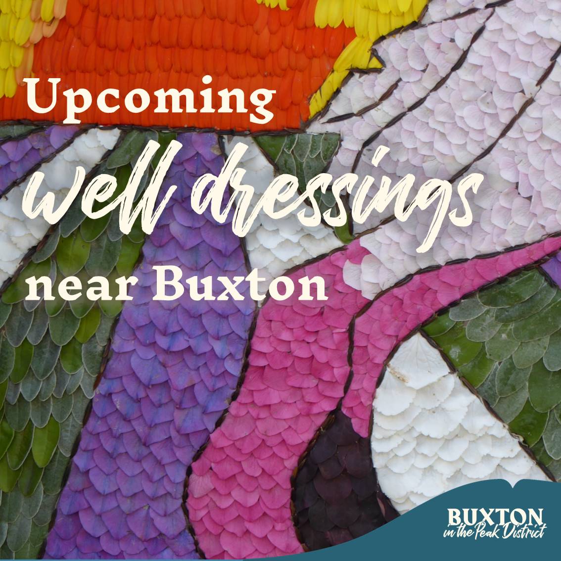 Well dressings coming up near #Buxton in the next few weeks:

Taddington &amp; Blackwell ➡️ 16-22 Aug
Eyam ➡️ 23-31 Aug
Wormhill ➡️ 23-31 Aug
Foolow ➡️ 23 Aug-1 Sep

See all dates at visitbuxton.co.uk/well-dressings…

#HighPeak #DerbyshireDales #PeakDistrict #Derbyshire #welldressingderbyshire