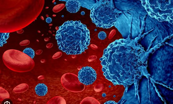 RCEC2's tweet image. Carcinogens   #rcec2
Carcinogens are hazardous substances at your jobsite that can cause cancer. This handout points out the Hazard Communication (HazCom) Standard’s requirements for handling carcinogens. 
Read More: rcec2.blogspot.com/2025/08/carcin…