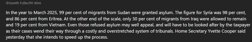 In the year to March 2025, 99 per cent of migrants from Sudan were granted asylum. The figure for Syria was 98 per cent, and 86 per cent from Eritrea.