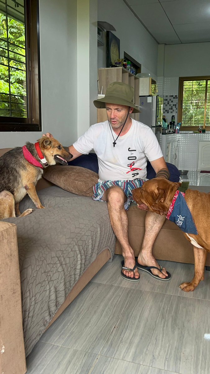 She came to live with me and my other rescue Hank. 

She was still very nervous but we’ve worked hard myself and Hank and it’s hard to believe her now… (4/7)
