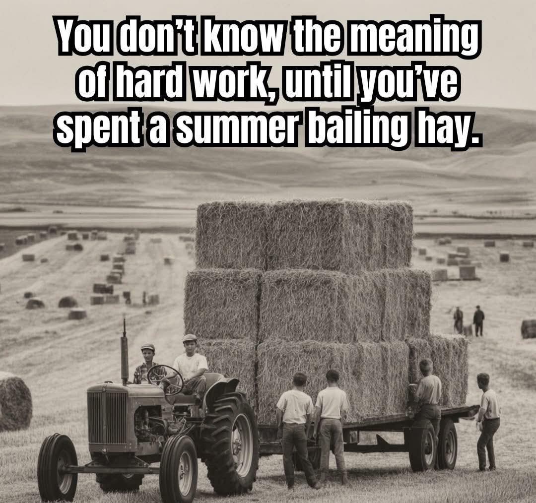 Show of hands ✋️ who has bailed some Hay? Hmm 😒 🤔 ?¿