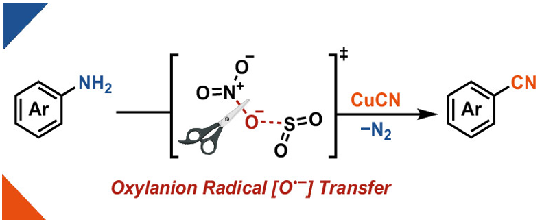Ritter Lab (@ritter_lab) on Twitter photo In our new <a href="/JOC_OL/">J Org Chem/Org Lett</a> paper, we show the deaminative cyanation of anilines using our nitrate reduction approach along with a theoretical study that points towards an oxylanion radical transfer mechanism that generates NO2 from nitrate!
Open access! 🔓
pubs.acs.org/doi/10.1021/ac… In our new <a href="/JOC_OL/">J Org Chem/Org Lett</a> paper, we show the deaminative cyanation of anilines using our nitrate reduction approach along with a theoretical study that points towards an oxylanion radical transfer mechanism that generates NO2 from nitrate!
Open access! 🔓
pubs.acs.org/doi/10.1021/ac…