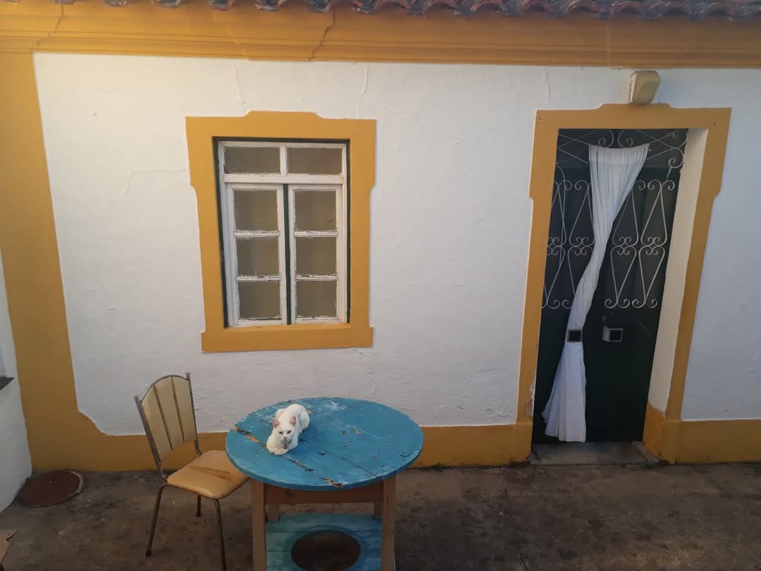 Hace casi dos mil años, en la Antigua Roma, el poeta Juvenal dejó escrito:

"Por lo que ahora inviertes en el alquiler de un año por un agujero tenebroso en la capital, en el campo dispones de pozo y un huerto para dar de comer a 100 personas."

Pues eso...