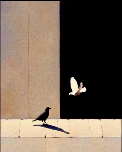 “Zıddınla terbiye olur, denginle kavuşursun.”