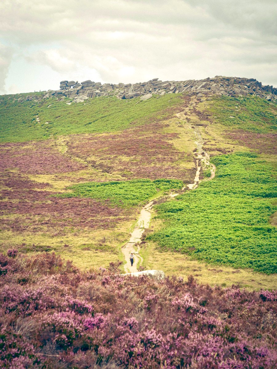 abdalla8338's tweet image. Looking towards Higger Tor from Carl Wark.

#carlwark #higgertor #peakdistrictviews