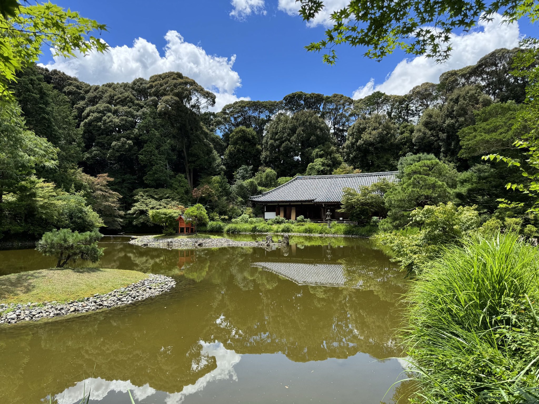 曇鸞浄土教形成論 その思想的背景／石川 琢道 著 曇鸞浄土教形成論 - 法藏館 おすすめ仏教書専門出版と書店（東