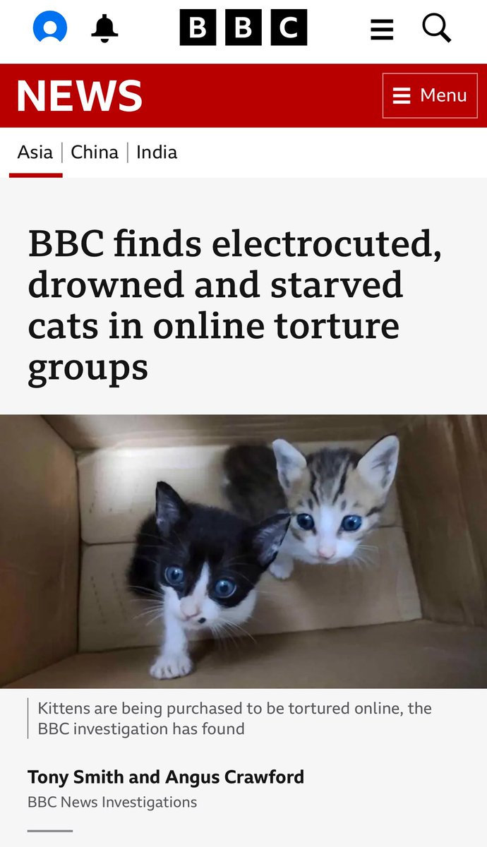 An international network that shares online videos of cats and kittens being tortured has members in the UK, the BBC has found.

The network is thought to have thousands of members who post, share and sell graphic images and videos of cats being hurt and killed.

In one group, on