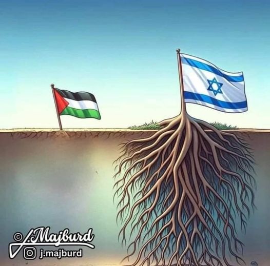 Canadian Troll (@rjm7708) on Twitter photo 