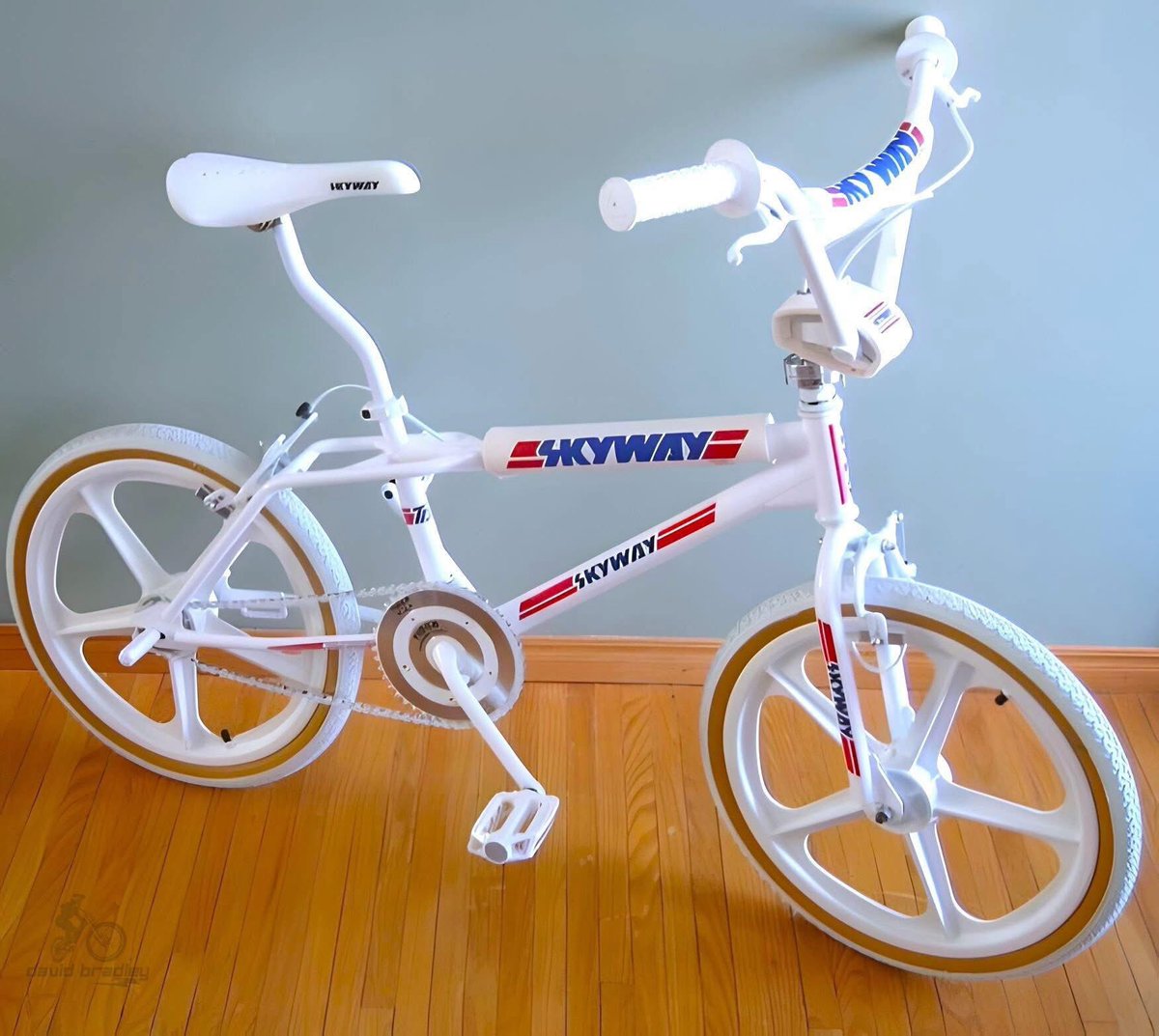 BMX Circa 1984 .. a skyway .. most could not afford one so it was Raleigh bunter or diamond back etc .. what did you have ???