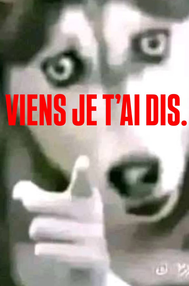 VLADIMIR CAUCHEMAR tweet media