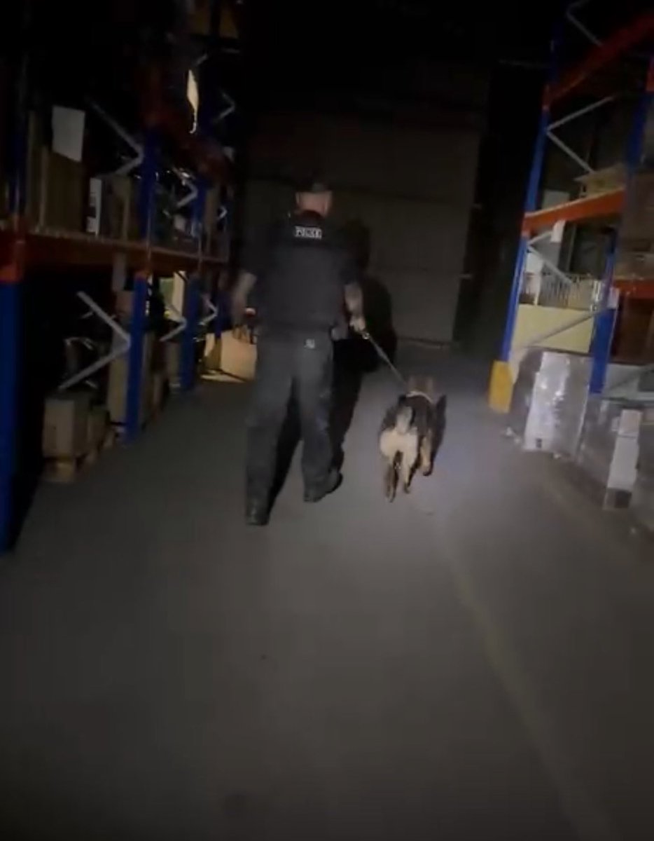 DCP South Devon Specials (@southdevon_sc) on Twitter photo 🐾Over the weekend we joined B Section #Dog unit on duty 🐕. During a training / exercise and in between jobs (e.g. a break in progress) , our SC Lewy was able to decide first hand if PD Sacka’s bark was worse than the bite… 😂🫣🏃🐕<a href="/DCPSpecials/">D&C Police Specials</a> 🐾Over the weekend we joined B Section #Dog unit on duty 🐕. During a training / exercise and in between jobs (e.g. a break in progress) , our SC Lewy was able to decide first hand if PD Sacka’s bark was worse than the bite… 😂🫣🏃🐕<a href="/DCPSpecials/">D&C Police Specials</a>