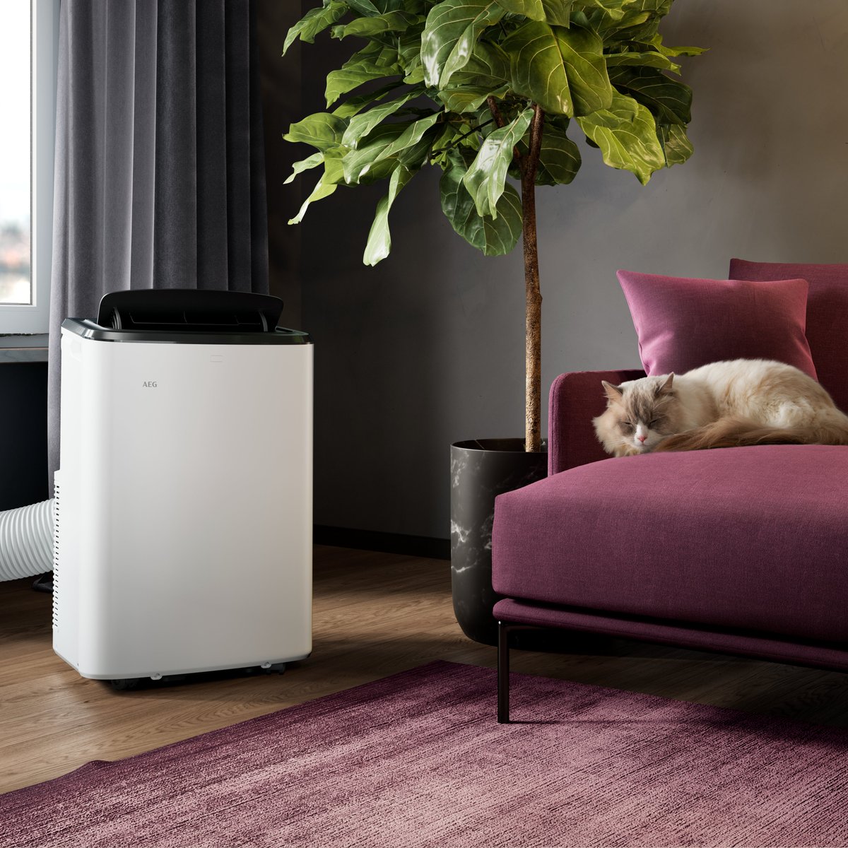 Aires que piensan en ti 🧊💡

Nuestros aires acondicionados AEG ajustan la temperatura y humedad automáticamente para tu máximo confort.

Tecnología que se adapta a tu bienestar y ¡a tu verano!

#ClimaInteligente #ConfortAEG #AirePremium