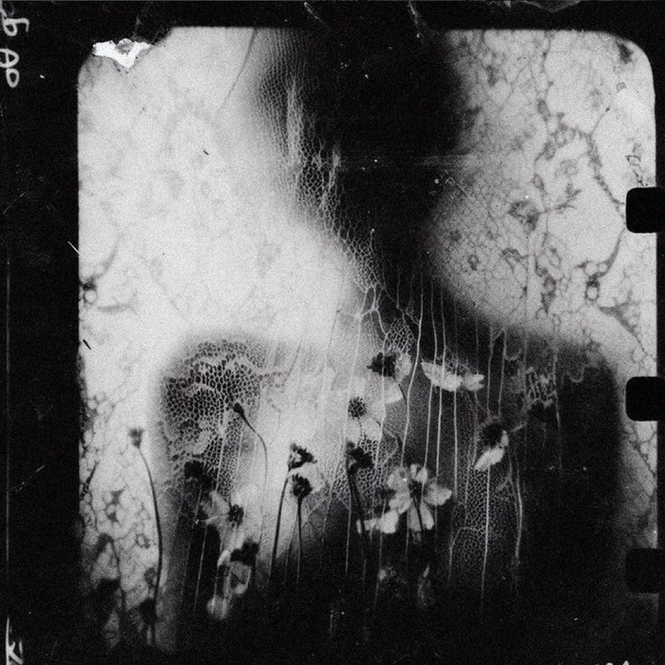 Todo lo que es hermoso
tiene su instante,
y pasa.

— Luis Cernuda 📚