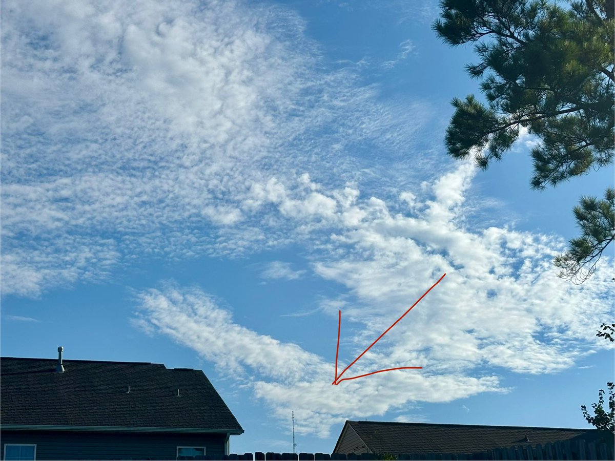 CAM010445's tweet photo. @KalaLaughter @RepNancyMace I take pics of the sky almost daily. This is Columbia SC area behind my house. Daily spray!! Don’t get me started with the towers! #StopCloudSeeding #StopWeatherMods https://t.co/BV40pe22j7