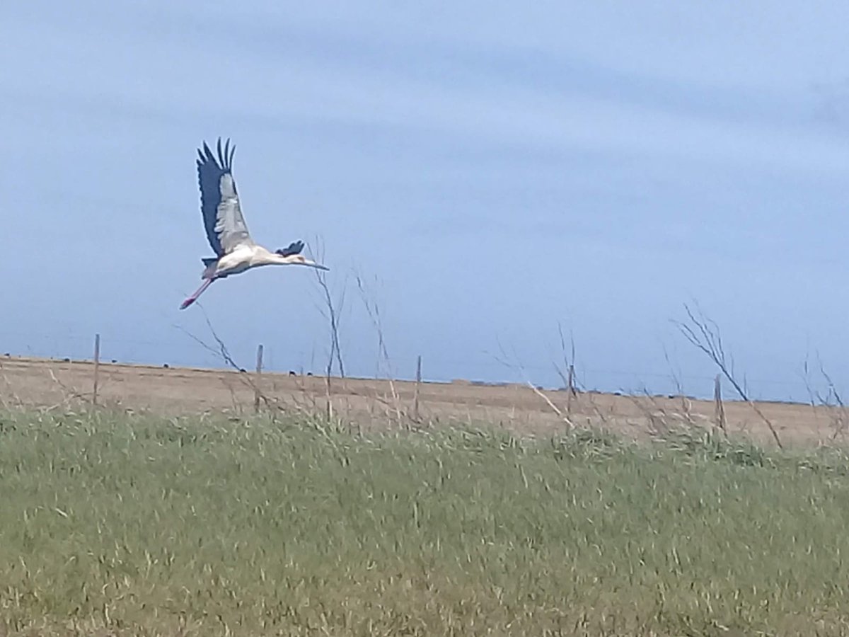 Atrápame alternativaenpapel.com.ar/2025/08/04/atr…