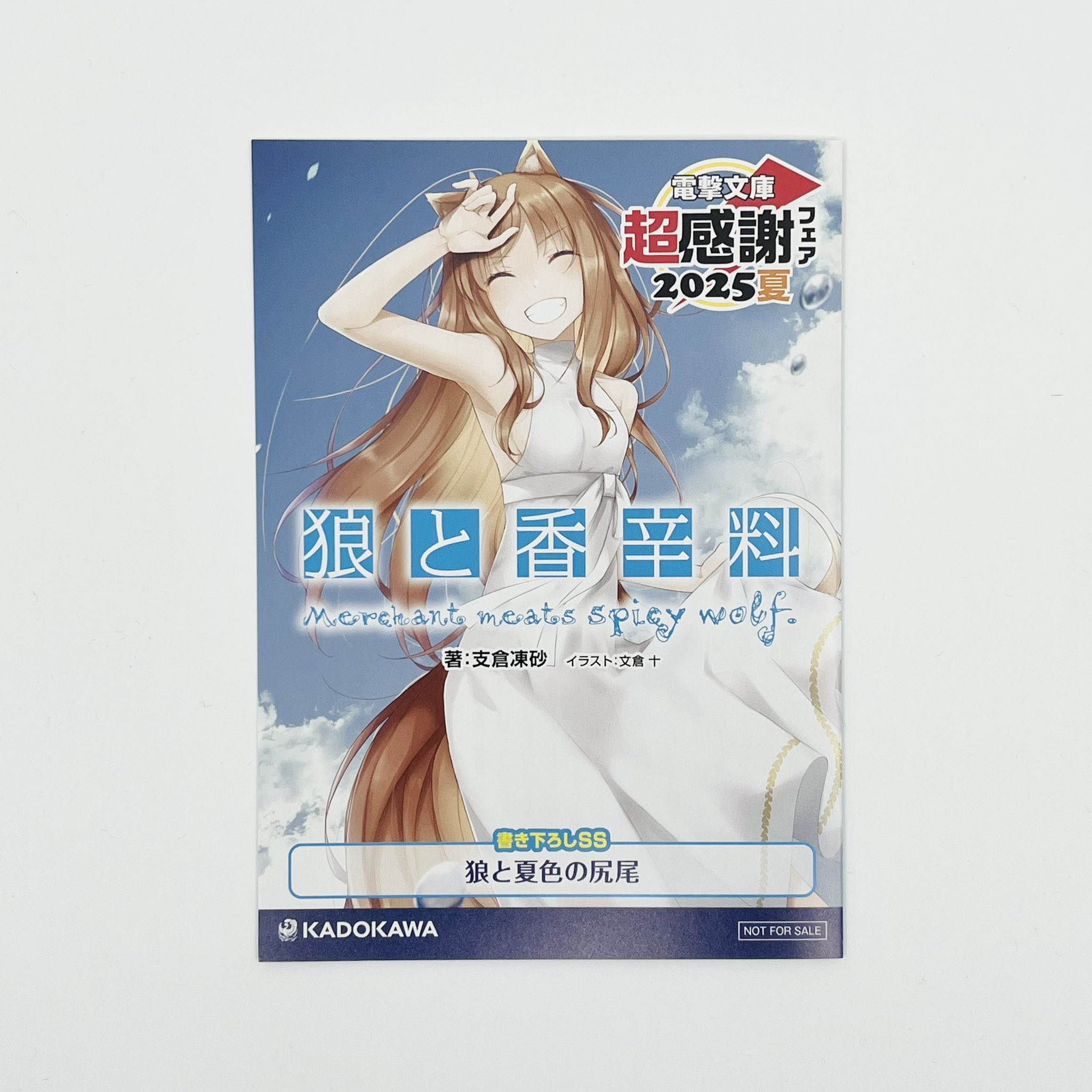 NS【プロフ参照】　電撃文庫　まとめ売り　100冊超え　A NS【プロフ参照】 電撃文庫 まとめ売り 100冊超え A NS【プロフ