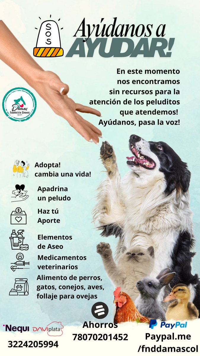 Dejar de luchar no es una OPCIÓN!
Para Hoy NO tenemos COMIDA, MEDICINAS, IMPLEMENTOS DE ASEO de los animalitos de <a href="/FndDamascol/">Fundación Damas Colombia 🇨🇴</a>! 
Tu aporte salva vidas! 
Nequi o Daviplata 3224205994
Cta ahorros Bancolombia 78070201452
Paypal.me/fnddamascol