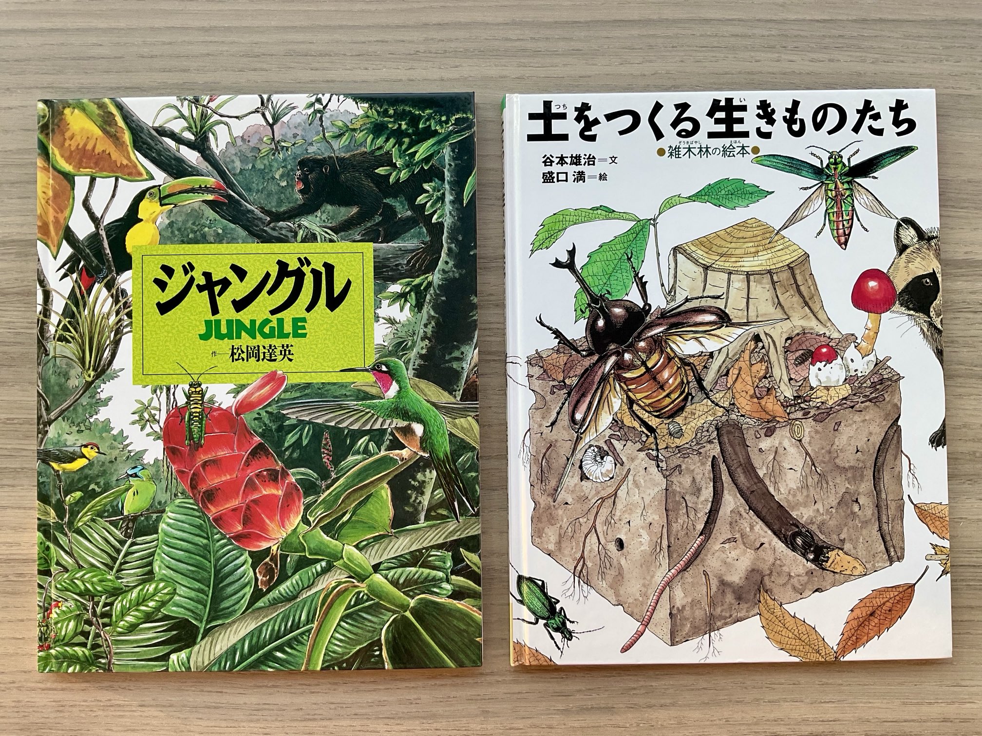 岩崎書店　絵本図鑑シリーズ　全３１巻 絵本図鑑