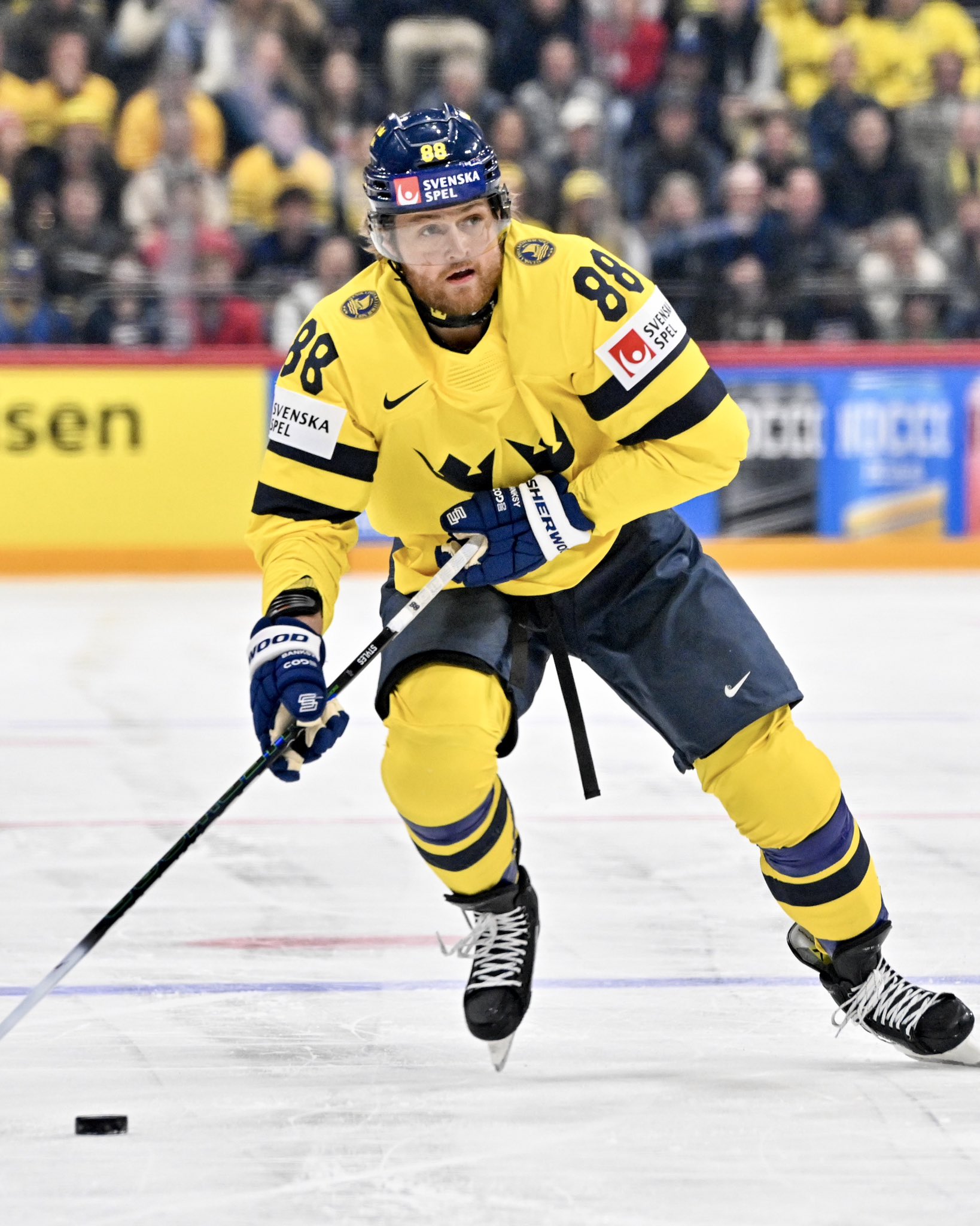 William Nylander Clinches Guldpucken — Sweden’s Top Hockey Honour at Long Last